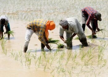 ਝੋਨੇ ਦੇ ਸੀਜ਼ਨ ‘ਚ ਖੁੱਲ੍ਹੇ ਬਿਜਲੀ ਸਮਝੌਤਿਆਂ ਦੇ ਭੇਤ, ਪ੍ਰਾਈਵੇਟ ਥਰਮਲਾਂ ਨੂੰ ਦਿੱਤੇ ਬਿਨਾਂ ਬਿਜਲੀ ਲਏ 5900 ਕਰੋੜ |