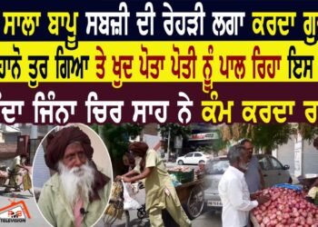 101 ਸਾਲਾ ਬਾਪੂ ਸਬਜ਼ੀ ਦੀ ਰੇਹੜੀ ਲਗਾ ਕਰਦਾ ਗੁਜ਼ਾਰਾ।