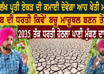 4.5 ਲੱਖ ਪ੍ਰਤੀ ਏਕੜ ਦੀ ਕਮਾਈ ਦੇਵੇਗਾ ਆਹ ਖੇਤੀ ਮਾਡਲ