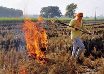 ਪਰਾਲੀ ਸਾੜਨ ਤੋਂ ਰੋਕਣ ਲਈ 878 ਕਰੋੜ ਦੀ ਕਾਰਜ ਯੋਜਨਾ: ਮੁੱਖ ਸਕੱਤਰ