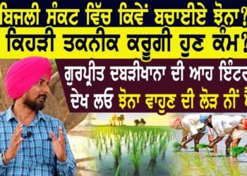 ਬਿਜਲੀ ਸੰਕਟ ਚ ਕਿਵੇਂ ਬਚਾਈਏ ਝੋਨਾ।