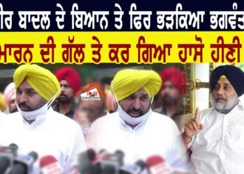 ਸੁਖਬੀਰ ਬਾਦਲ ਦੇ ਬਿਆਨ ਤੇ ਫਿਰ ਭੜਕਿਆ ਭਗਵੰਤ ਮਾਨ