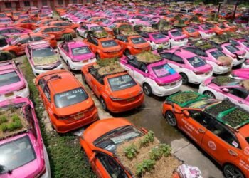 ਥਾਈਲੈਂਡ ’ਚ ਟੈਕਸੀਆਂ ਦੀਆਂ ਛੱਤਾਂ ’ਤੇ  ਖੇਤੀ ਕਿਉਂ ?