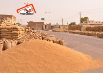 ਪੰਜਾਬ ਤੇ ਹਰਿਆਣਾ ‘ਚ ਝੋਨੇ ਦੀ ਸਰਕਾਰੀ ਖ਼ਰੀਦ ਅੱਜ ਤੋਂ |