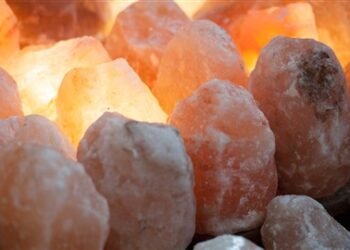 ਅੰਮ੍ਰਿਤਸਰ ਪੁਲਿਸ ਦੀ ਵੱਡੀ ਕਾਰਵਾਈ : ਨਕਲੀ ਲੂਣ ਬਣਾਉਣ ਵਾਲੀਆਂ ਚਾਰ ਫੈਕਟਰੀਆਂ ਦਾ ਪਰਦਾਫਾਸ਼ |