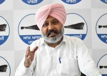 ਅਦਾਲਤ ਵੱਲੋਂ ਬਿਕਰਮ ਮਜੀਠੀਆ ਨੂੰ ਜੇਲ੍ਹ ਭੇਜਣ ਦੇ ਫ਼ੈਸਲੇ ਦਾ ਹਰਪਾਲ ਚੀਮਾ ਨੇ ਕੀਤਾ ਸਵਾਗਤ |