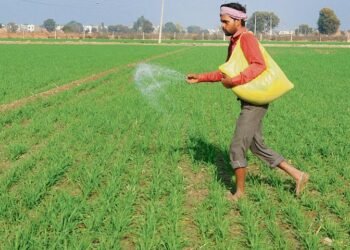 ਖਾਦ ਸਬਸਿਡੀ ‘ਚ ਵਾਧੇ ਨੂੰ ਮੰਤਰੀ ਮੰਡਲ ਨੇ ਦਿੱਤੀ ਪ੍ਰਵਾਨਗੀ |