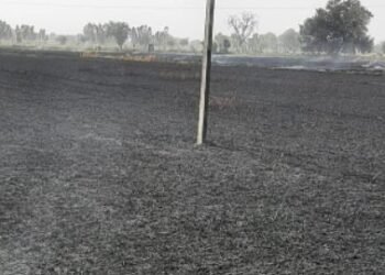 ਪਿੰਡ ਮੁਹਾਲਾ ‘ਚ 7 ਏਕੜ ਕਣਕ ਸੜ ਕੇ ਹੋਈ ਸੁਆਹ |