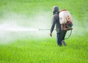 ਪੰਜਾਬ ‘ਚ 10 ਕੀਟਨਾਸ਼ਕਾਂ ਦੀ ਵਰਤੋਂ ‘ਤੇ ਪਾਬੰਦੀ |