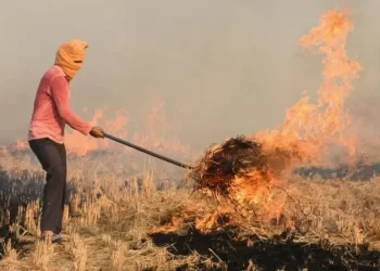 ਪਰਾਲੀ ਸਾੜਨ ਦੇ ਮੁੱਦੇ ਉੱਤੇ ਕੇਂਦਰ ਨੇ ਪੰਜਾਬ ਸਰਕਾਰ ’ਤੇ ਇਹ ਸਵਾਲ ਚੁੱਕੇ, ਪੰਜਾਬ ਦੀ ਕੀ ਹੈ ਤਿਆਰੀ