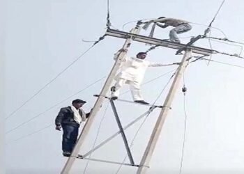 ਕਾਂਗਰਸੀ ਵਿਧਾਇਕ ਬਣੇ ‘ਖਤਰੋਂ ਕੇ ਖਿਲਾੜੀ’, ਪਿੰਡ ਦੀ ਕੱਟੀ ਬਿਜਲੀ ਜੋੜਨ ਲਈ ਖੁਦ ਹੀ ਚੜ੍ਹ ਗਏ ਖੰਭੇ ‘ਤੇ