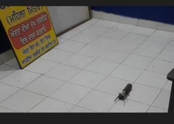 ਪੁਲਿਸ ਸਟੇਸ਼ਨ ‘ਤੇ ਵੱਡਾ ਹਮਲਾ, ਹਾਈ ਅਲਰਟ ਜਾਰੀ