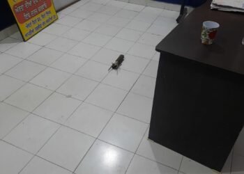 ਪੁਲਿਸ ਸਟੇਸ਼ਨ ‘ਤੇ ਵੱਡਾ ਹਮਲਾ, ਹਾਈ ਅਲਰਟ ਜਾਰੀ