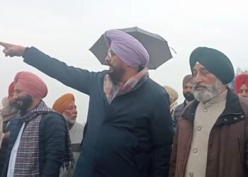 ਪ੍ਰਵਾਸੀ ਪੰਜਾਬੀ ਪਰਿਵਾਰ ਦੀ ਨਜਾਇਜ਼ ਕਬਜ਼ੇ ਹੇਠ ਜ਼ਮੀਨ ਨੂੰ ਛੁਡਾਏਗੀ ਪੰਜਾਬ ਸਰਕਾਰ, ਮੰਤਰੀ ਧਾਲੀਵਾਲ ਦਾ ਵਾਅਦਾ