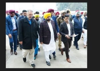 ਕੈਪਟਨ ਦੇ ਗੜ੍ਹ ’ਚ CM ਮਾਨ ਦਾ ਦੌਰਾ, ਅਮਰਿੰਦਰ ਤੇ ਪ੍ਰਰਨੀਤ ਕੌਰ ਬਾਰੇ ਆਖੀ ਵੱਡੀ ਗੱਲ