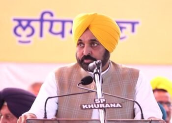 ਕਿਸਾਨਾਂ ਦੀ ਆਮਦਨ ‘ਚ ਵਾਧਾ ਕਰਨ ਲਈ CM ਮਾਨ ਦੀ ਪਹਿਲਕਦਮੀ, ਭਾਰਤ ਦਾ ਪਹਿਲਾ ਈ-ਟਿੰਬਰ ਪੋਰਟਲ ਕੀਤਾ ਜਾਰੀ