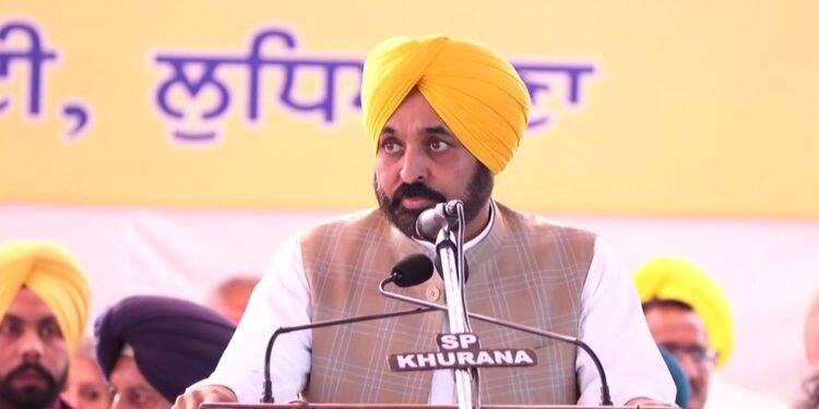 ਕਿਸਾਨਾਂ ਦੀ ਆਮਦਨ ‘ਚ ਵਾਧਾ ਕਰਨ ਲਈ CM ਮਾਨ ਦੀ ਪਹਿਲਕਦਮੀ, ਭਾਰਤ ਦਾ ਪਹਿਲਾ ਈ-ਟਿੰਬਰ ਪੋਰਟਲ ਕੀਤਾ ਜਾਰੀ