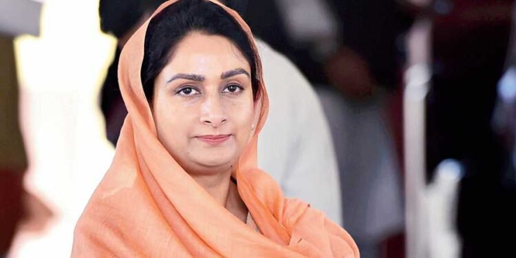 ਬੰਦੀ ਸਿੰਘਾਂ ਦੀ ਰਿਹਾਈ ’ਤੇ ਭਖਦੀ ਜਾ ਰਹੀ ਸਿਆਸਤ, ਬੀਬਾ ਬਾਦਲ ਨੇ ‘ਆਪ’-ਭਾਜਪਾ ਦਾ ਚਿਹਰਾ ਕੀਤਾ ਨੰਗਾ