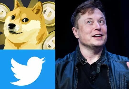 ਟਵਿੱਟਰ ਨੂੰ ਮਿਲਿਆ ਨਵਾਂ ਲੋਗੋ, ਸੀਈਓ ਐਲੋਨ ਮਸਕ ਨੇ ਵੱਡਾ ਬਦਲਾਅ