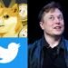 ਟਵਿੱਟਰ ਨੂੰ ਮਿਲਿਆ ਨਵਾਂ ਲੋਗੋ, ਸੀਈਓ ਐਲੋਨ ਮਸਕ ਨੇ ਵੱਡਾ ਬਦਲਾਅ