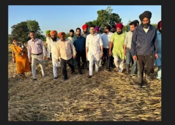 ਬੇਮੌਸਮੀ ਬਰਸਾਤ ਕਾਰਨ ਕਿਸਾਨਾਂ ਦੀਆਂ ਖ਼ਰਾਬ ਫ਼ਸਲਾਂ ਦਾ ਮਾਮਲਾ: ਕਿਸਾਨਾਂ ਦੀ ਆਵਾਜ਼ ਕੇਂਦਰ ਤੱਕ ਪਹੁੰਚਾਉਣ ਲਈ ਰਾਘਵ ਚੱਢਾ ਦਾ ਅਹਿਮ ਕਦਮ