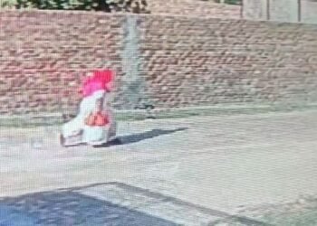 ਮਤਰੇਈ ਮਾਂ ਦਾ ਕਾਰਨਾਮਾ: ਮਾਸੂਮ ਬੱਚੀ ਨੂੰ ਮਰਵਾ ਛੱਪੜ ਨੂੰ ਸੁੱਟੀ ਲਾਸ਼!