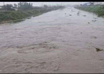 ਪੰਜਾਬ ‘ਚ 13 ਜੁਲਾਈ ਤੱਕ ਸਕੂਲਾਂ ‘ਚ ਛੁੱਟੀ: ਸਾਰੇ ਸਰਕਾਰੀ, ਸਹਾਇਤਾ ਪ੍ਰਾਪਤ ਅਤੇ ਪ੍ਰਾਈਵੇਟ ਸਕੂਲ ਰਹਿਣਗੇ ਬੰਦ