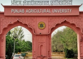 punjab agricultural university