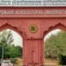 punjab agricultural university