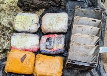 ਗੁਰਦਾਸਪੁਰ ‘ਚ ਸਰਹੱਦ ਤੋਂ ਹੈਰੋਇਨ ਤੇ ਅਫੀਮ ਬਰਾਮਦ, 12 ਵੋਲਟ ਦੀ ਬੈਟਰੀ ‘ਚ ਛੁਪਾ ਕੇ ਰੱਖਿਆ ਗਿਆ ਸੀ ਨਸ਼ਾ