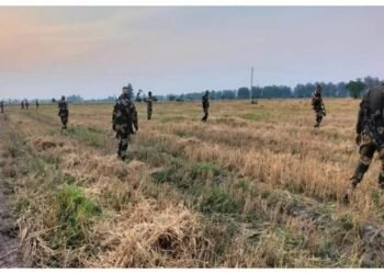 BSF ਨੂੰ ਮਿਲੀ ਕਾਮਯਾਬੀ, ਖੇਤਾਂ ‘ਚੋਂ ਮਿਲਿਆ ਪਾਕਿਸਤਾਨੀ ਡਰੋਨ