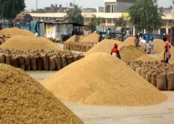 ਪੰਜਾਬ ਦੇ ਮਜਦੂਰਾਂ ਦੇ ਹੜਤਾਲ, ਅਨਾਜ ਮੰਡੀਆਂ ਦੇ ਗੇਟ ਬੰਦ ਕਰ ਹੋ ਰਿਹਾ ਪ੍ਰਦਰਸ਼ਨ