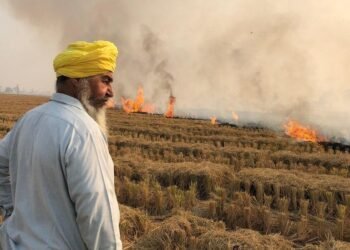 ਪੰਜਾਬ ਵਿੱਚ 30 ਜਗ੍ਹਾ ਸਾੜੀ ਗਈ ਪਰਾਲੀ, ਹੁਣ ਤੱਕ 1794 ਕੇਸ, ਦੋ ਸਾਲੋਂ ਸਭ ਤੋਂ ਘੱਟ ਆਂਕੜਾ