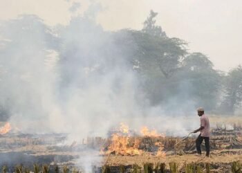 ਪੰਜਾਬ ਵਿੱਚ ਝੋਨੇ ਦੀ ਕਟਾਈ , 16 ਦਿਨਾਂ ਵਿੱਚ ਪਰਾਲੀ ਸਾੜਨ ਦੇ 342 ਮਾਮਲੇ ਆਏ ਸਾਹਮਣੇ