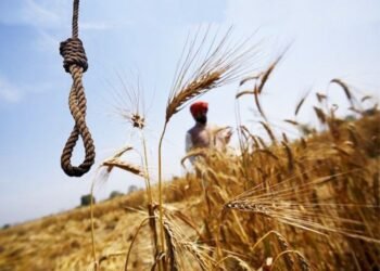 ਵਿਚੋਲਿਆਂ ਤੋਂ ਤੰਗ ਆ ਕੇ ਕਿਸਾਨ ਨੇ ਕੀਤੀ ਖੁਦਕੁਸ਼ੀ, ਬੇਟੇ ਨੇ ਦੱਸਿਆ ਖੁਦਕੁਸ਼ੀ ਦਾ ਪੂਰਾ ਕਾਰਨ