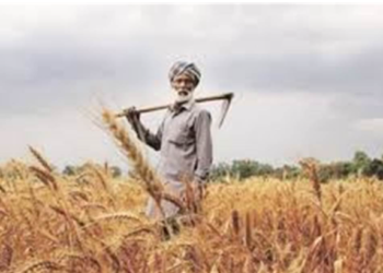 ਕੇਂਦਰ ਵੱਲੋਂ ਕਣਕ ਦੀ ਖ਼ਰੀਦ ਦੇ ਨਿਯਮਾਂ ’ਚ ਢਿੱਲ, ਹੁਣ ਖ਼ਰਾਬ ਮੌਸਮ ਦੀ ਮਾਰ ਹੇਠ ਆਈ ਫ਼ਸਲ ਵੀ MSP ’ਤੇ ਵਿਕੇਗੀ